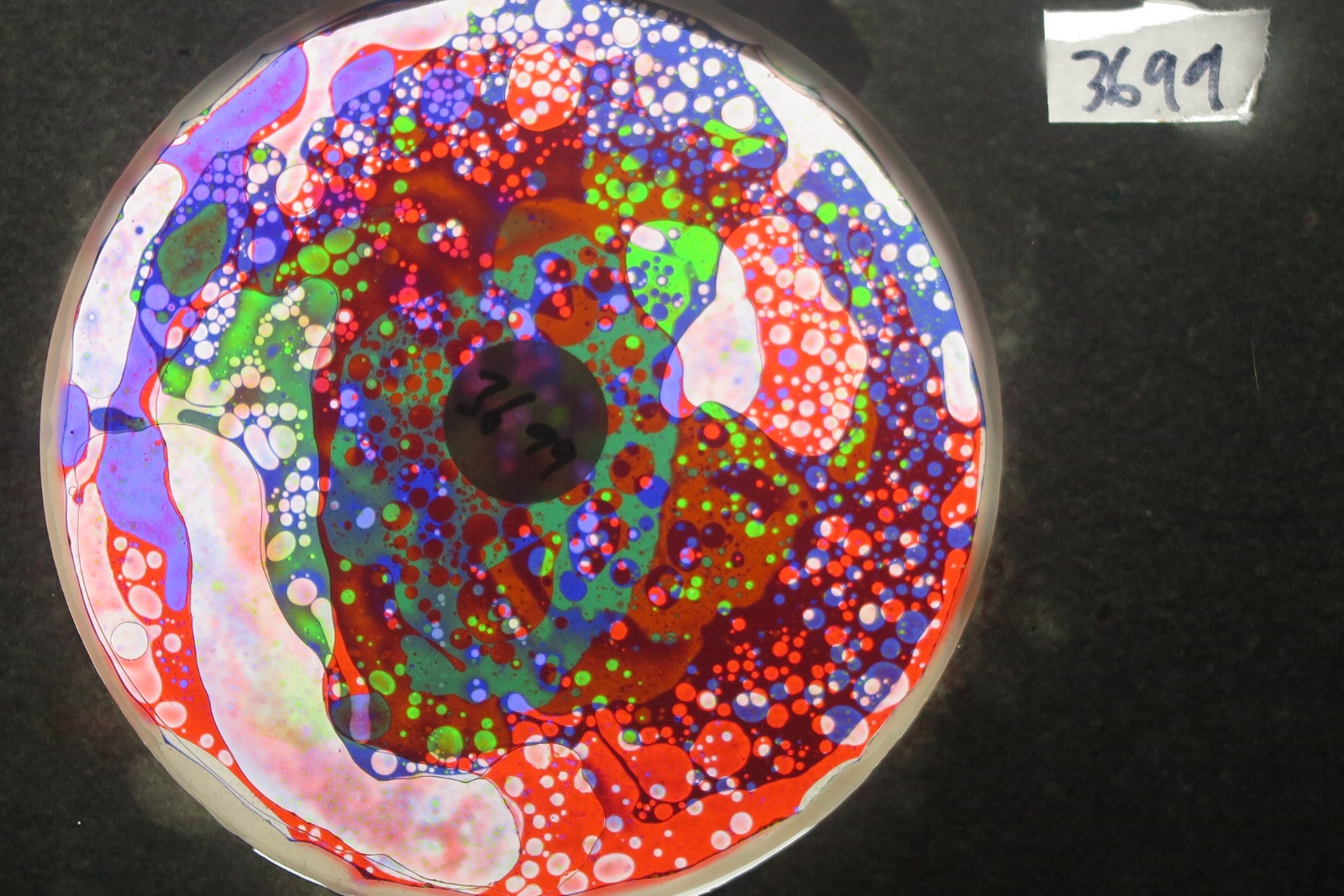 BV3699 bubble vision oil wheel